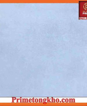 Gạch lát 60x60 Prime 9174