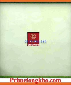 Gạch 50x50 Prime 2065