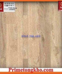 Gạch 60x60 Prime 17009