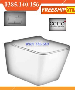 Bồn cầu âm tường Cotto SC197627