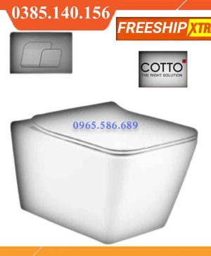 Bồn cầu âm tường Cotto SC197627