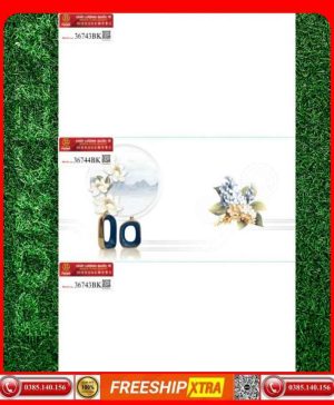 gach 30x60 Prime 36743-36744