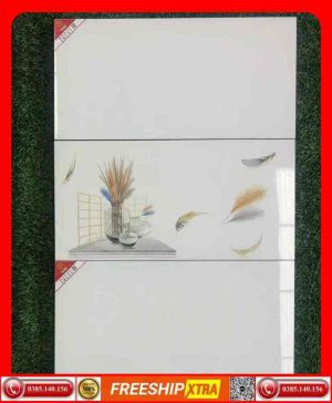 gach 30x60 Prime 3600-3668D