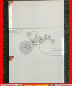 gach 30x60 Prime 3661-3664D
