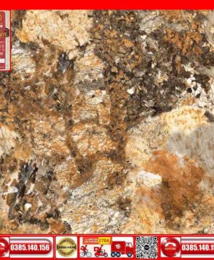 Gạch 60x60 Prime 03.600600.29632