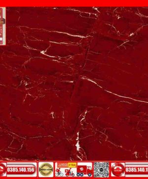 Gach 80x80 Prime 03.800800.27711