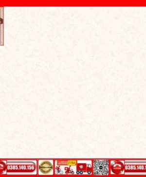 Gach 80x80 Prime 03.800800.30021