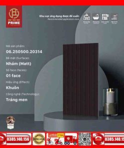 Gạch 25x50 Prime 06.250.500.20314