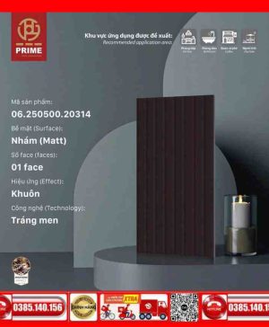 Gạch 25x50 Prime 06.250.500.20314