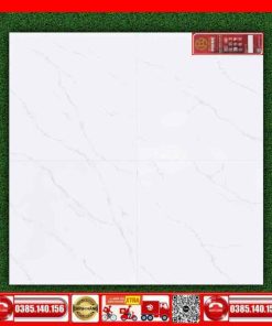 Gach 80x80 Prime 35502