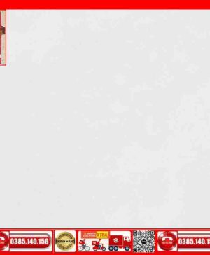 Gạch 100x100 Prime 03.100100.21313