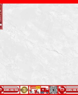 Gach 80x80 Prime 03.800800.27636