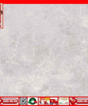 Gach 60x60 Prime 03.600600.29E29 xám xi măng