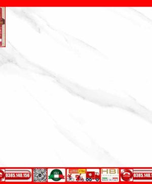 Gach 60x60 Prime 03.600600.29E31