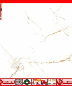 Gach 60x60 Prime 03.600600.29E39