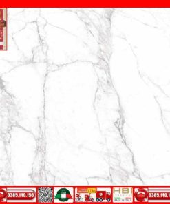 Gach 60x60 Prime 03.600600.29E43 Marbal trắng xám