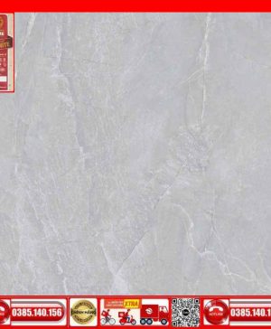 Gạch 60x60 Prime 13.600600.09204 màu xám bóng