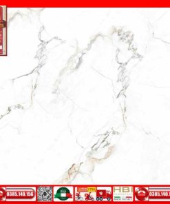 Gach-100x100-Prime-03.100100.92501
