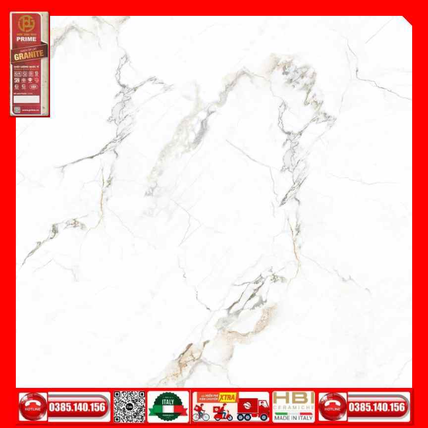 Gach-100x100-Prime-03.100100.92501